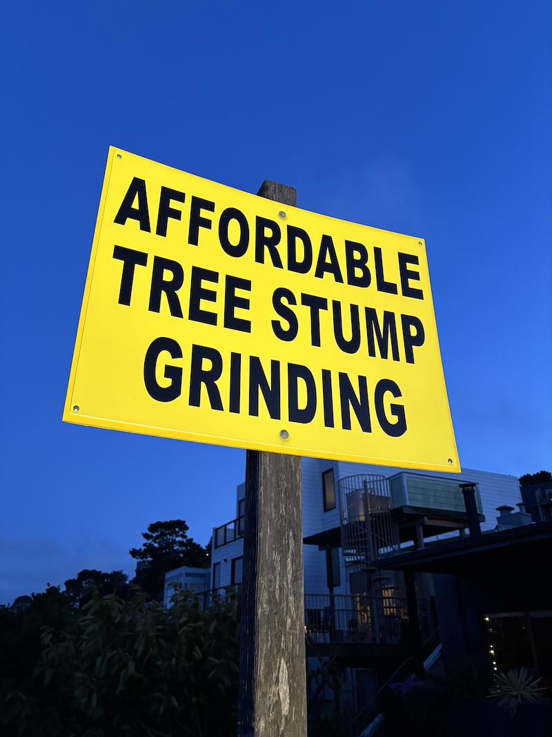 Affordable Tree Stump Grinding